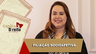 Explica Direito Filiação Socioafetiva  2019 [upl. by Suoilenroc]