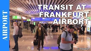 TRANSIT WALK AT FRANKFURT Airport FRA Terminal 1  Connection Flight Transfer Arriving amp Departing [upl. by Careaga]